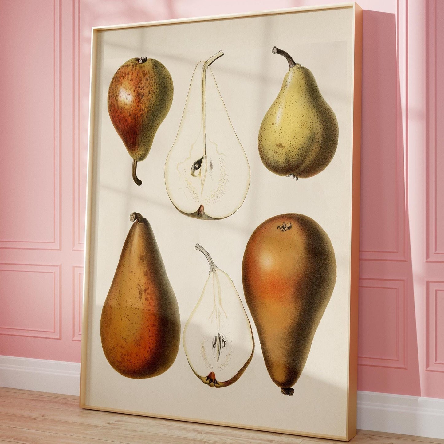 Pear Poster – Botanical Vintage Illustration