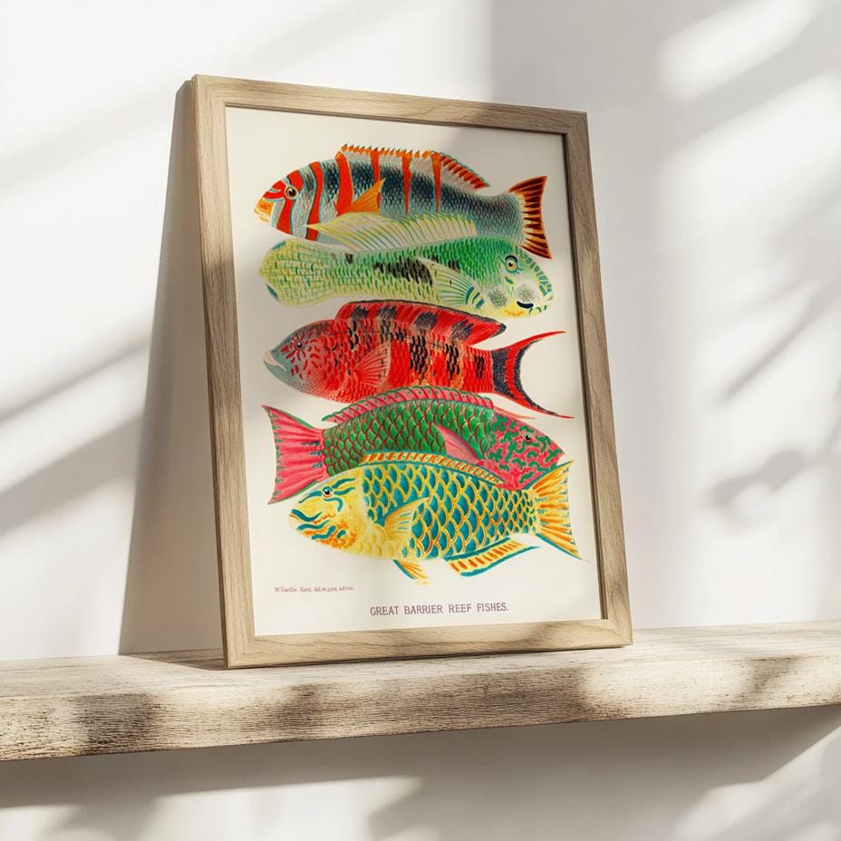 Tropische Fische – Great Barrier Reef, Illustration William Saville-Kent, 1893
