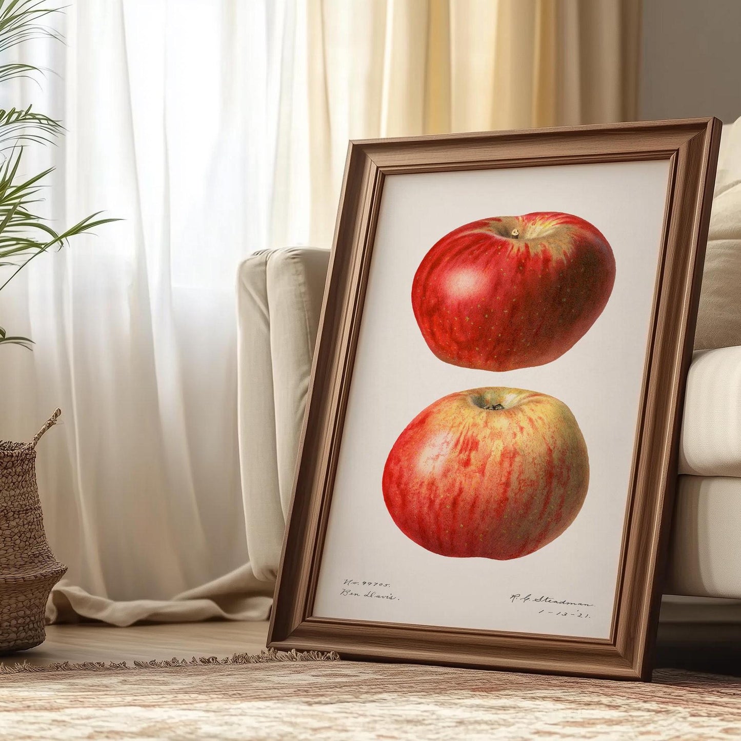 Vintage Apple Poster – Botanical Illustration
