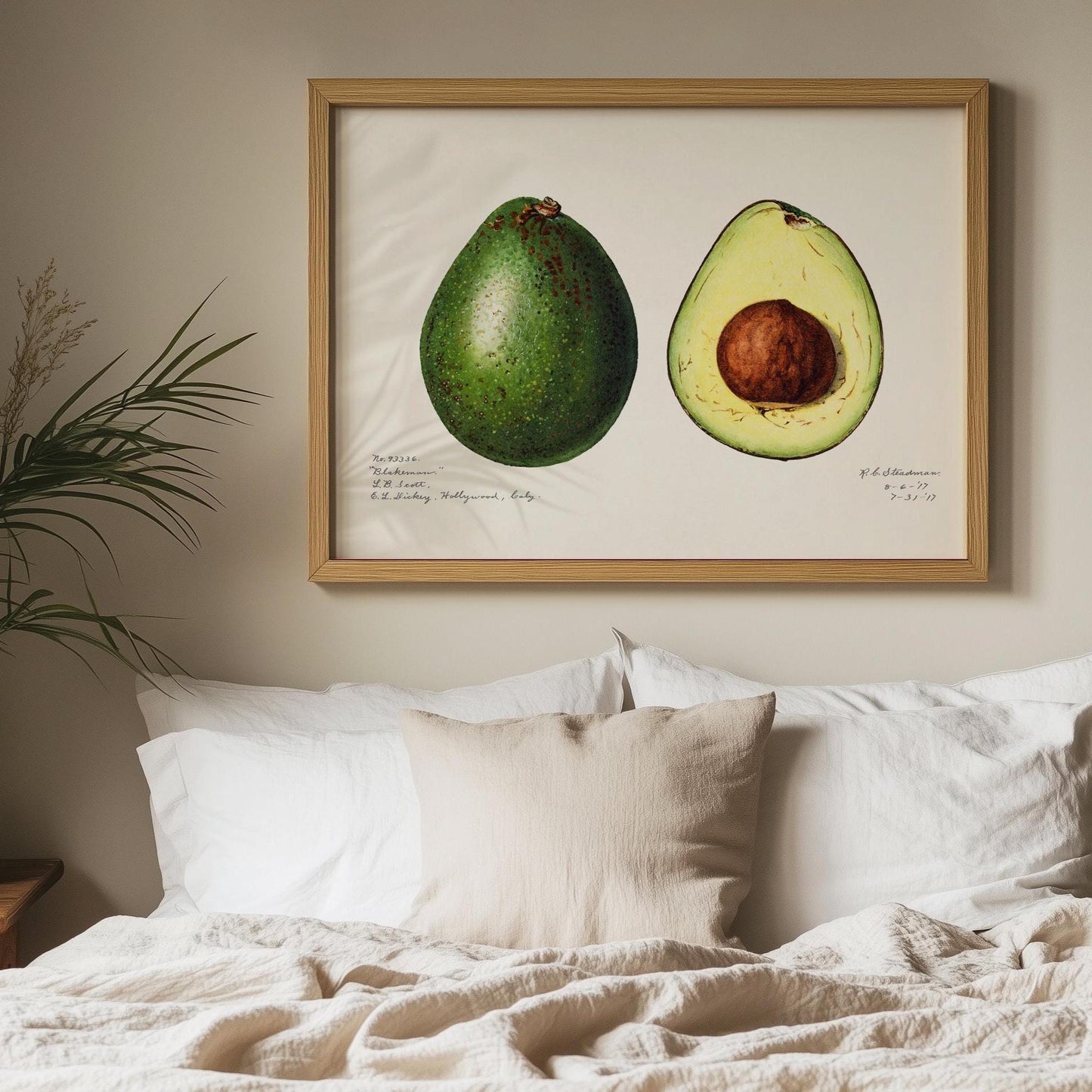 Avocado poster – Vintage Botanische Kunstprint
