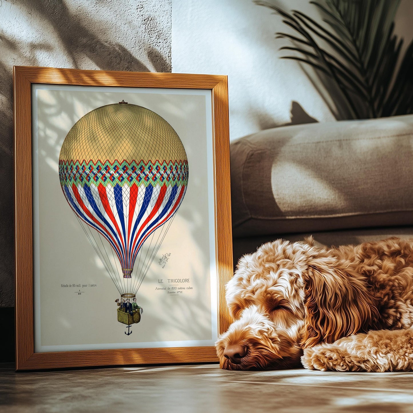 Ingelijste vintage luchtballonposter staand tegen een bank. Rechts naast de poster ligt een schattige slapende hond.