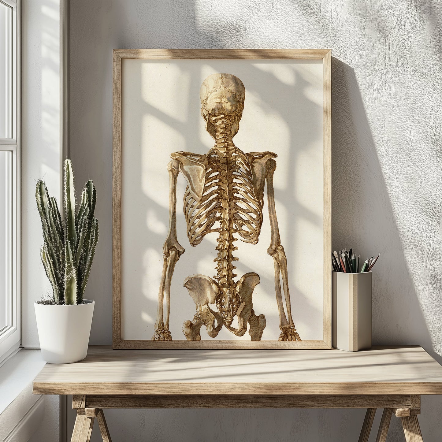 Skelett-Anatomie-Poster – Vintage-Medizindruck